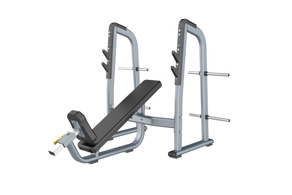 Professional best sale incline bench